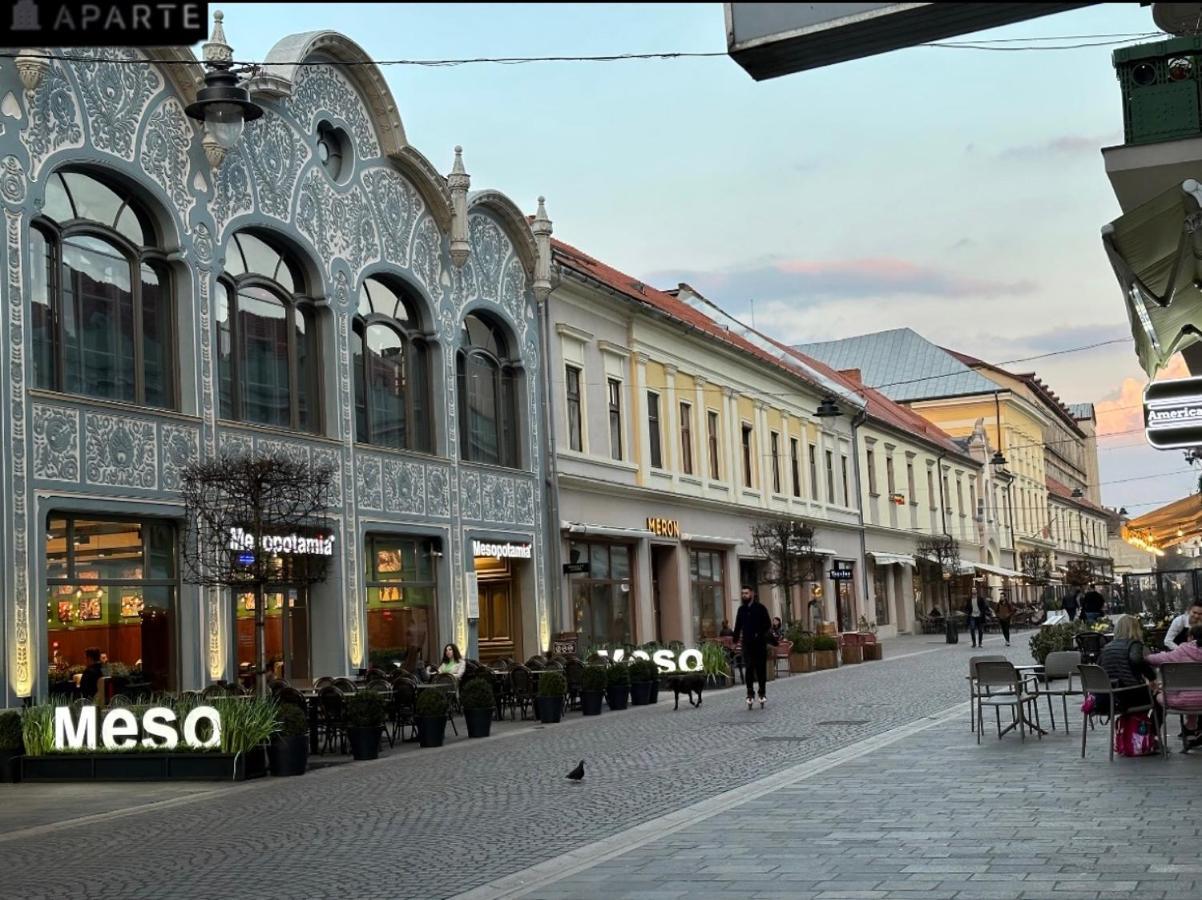 Aparte, Ultracentral Apartament In Moskovits Palace Oradea Dış mekan fotoğraf